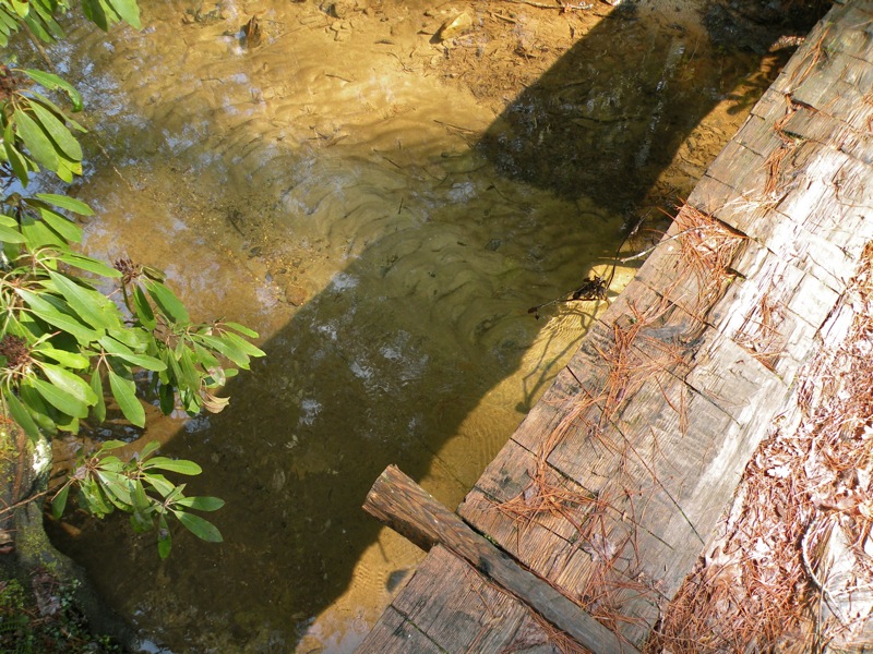 Parched Corn Creek - Rough Trail